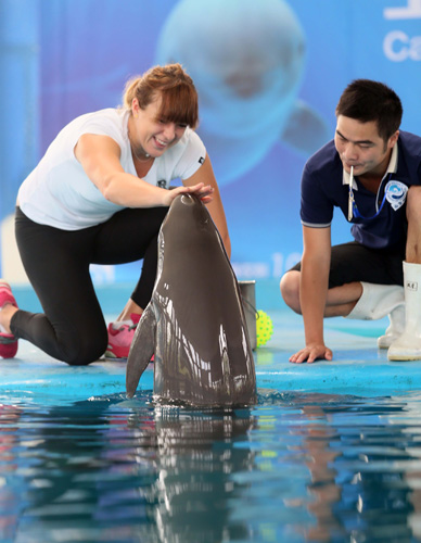 迟迟没有积 迟迟没有积