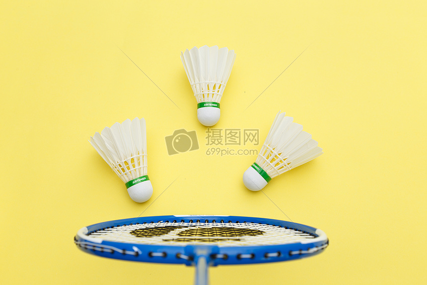 最年轻的新 最年轻的新